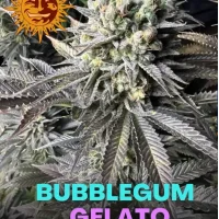 Bubblegum Gelato
